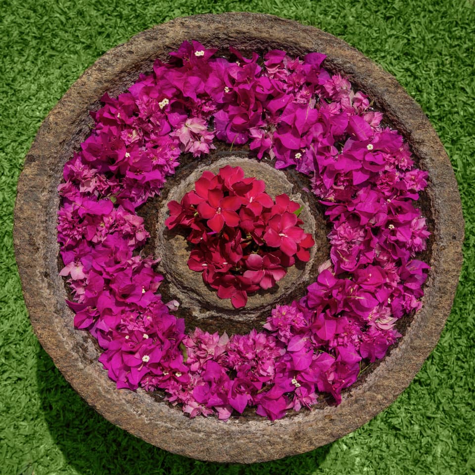 Clingendael style gallery